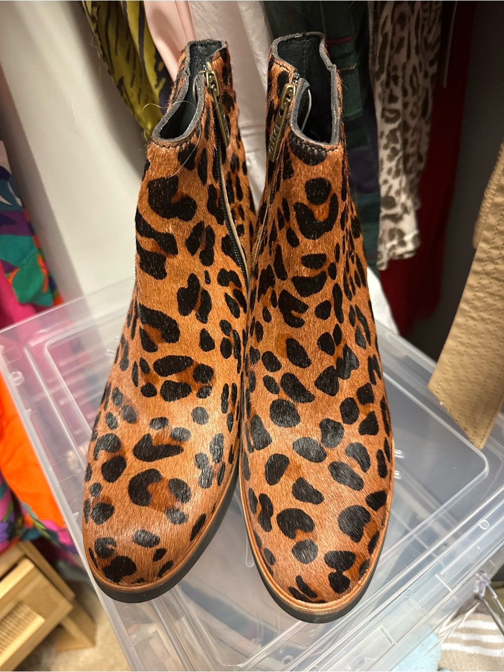 Duo Boots calf hair leopard Print Ankle Booties